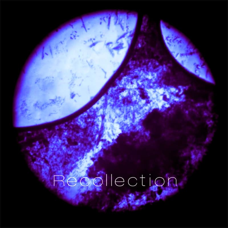 The K2 Project