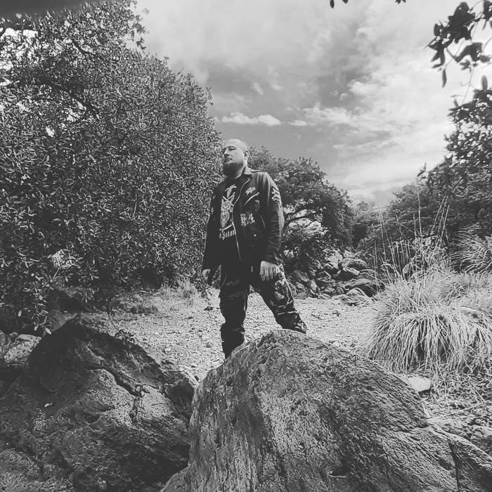 Under the spell of the night