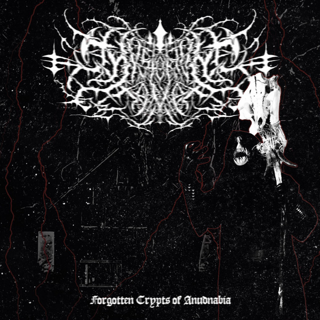 Mysterivm Xarxes
