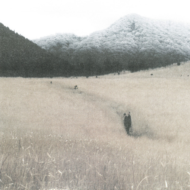 Meadow