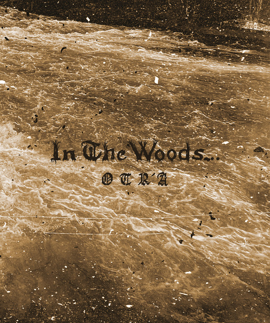 In the Woods...