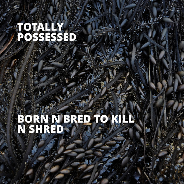 Totally Possessed