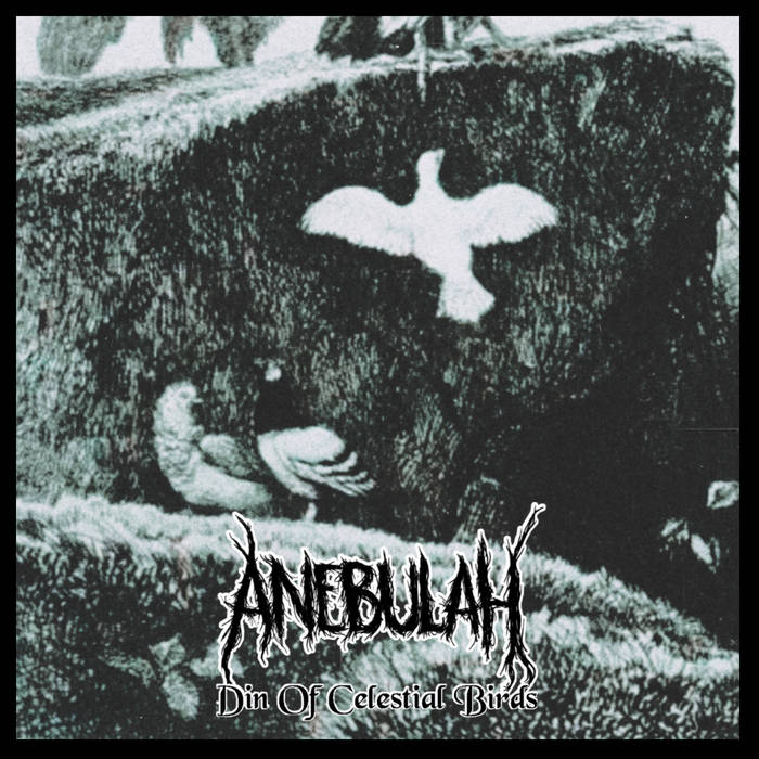 Din Of Celestial Birds