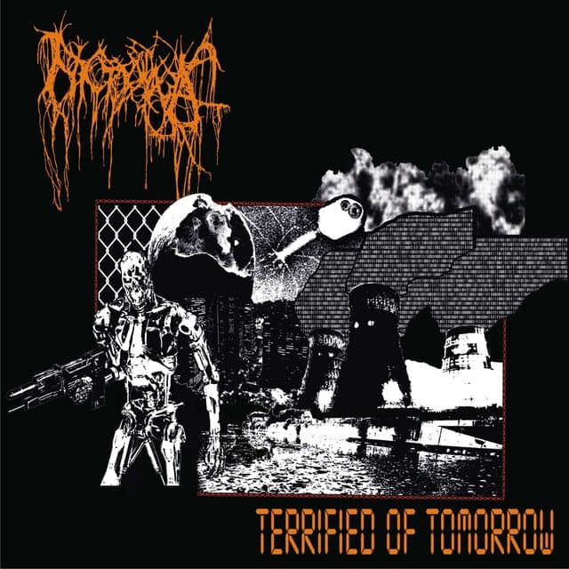 Nyctophagia