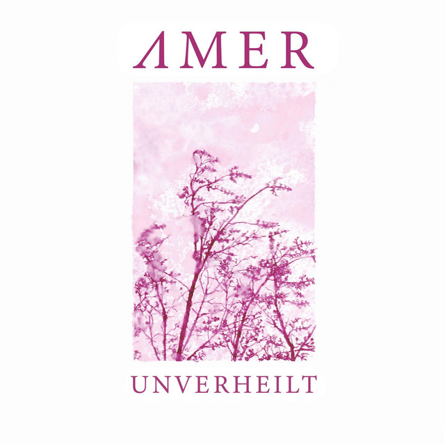 Amer