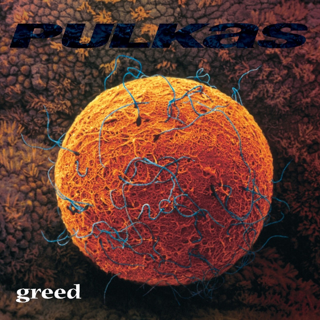 Pulkas