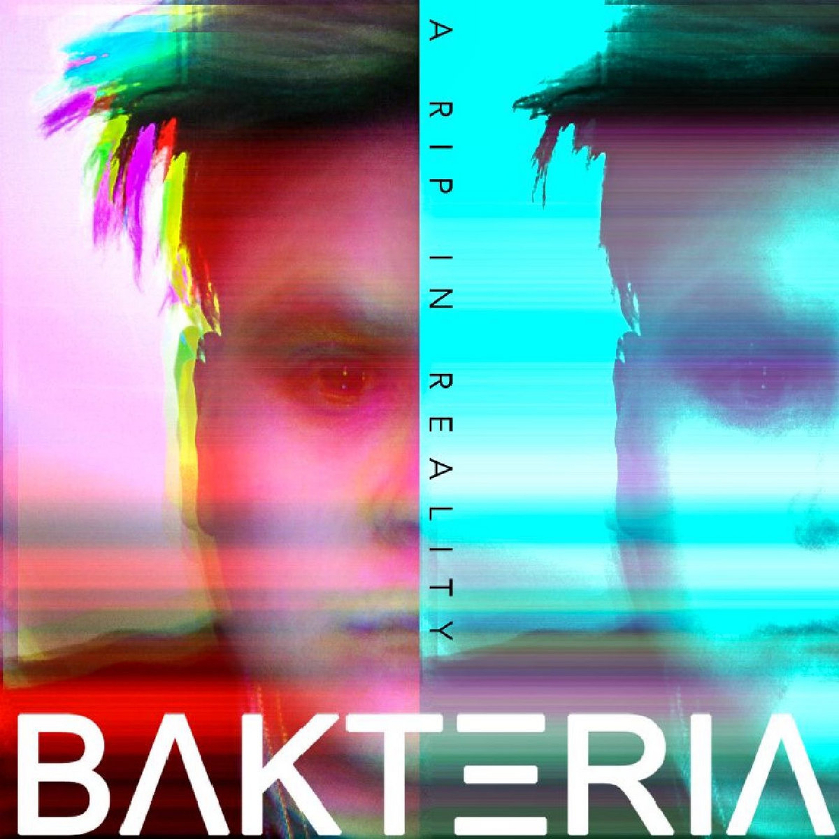 Bakteria