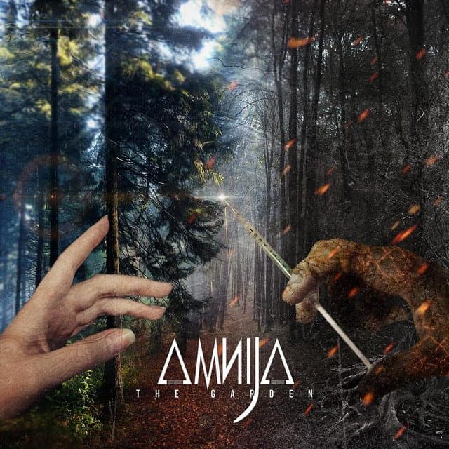 Amnija
