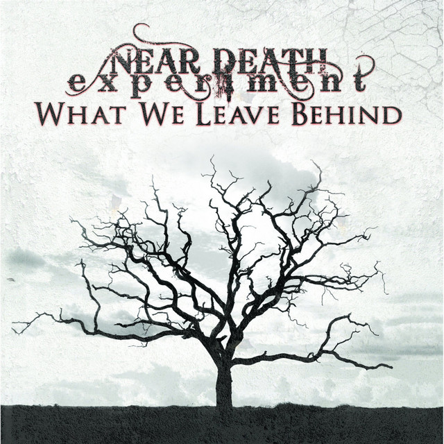 Near Death Experiment