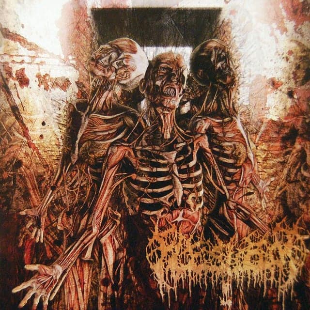 Fleshrot