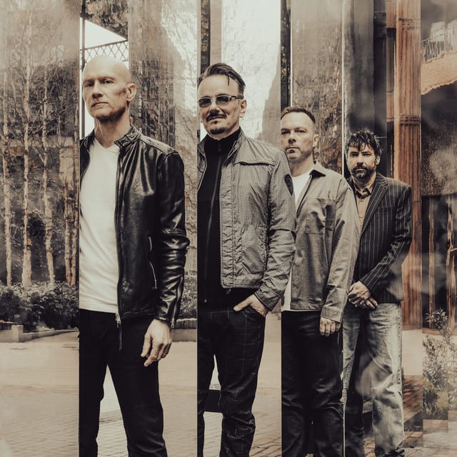 The Pineapple Thief