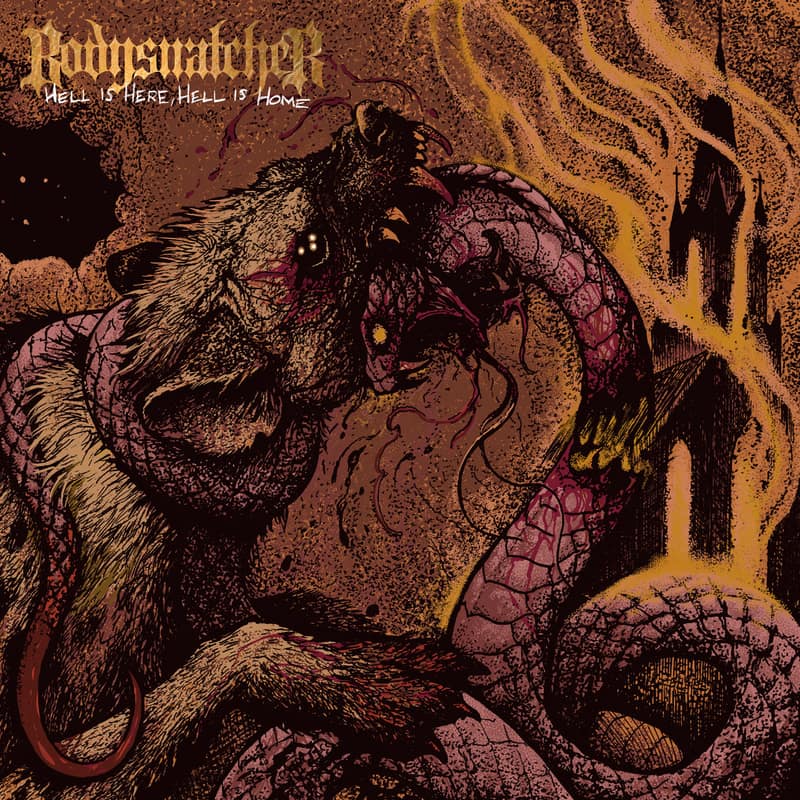 Bodysnatcher