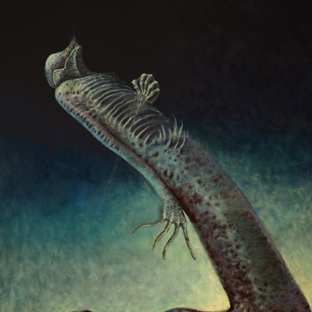 Clarion Void