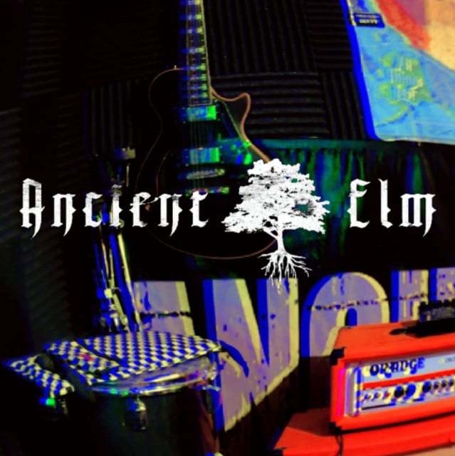 Ancient Elm