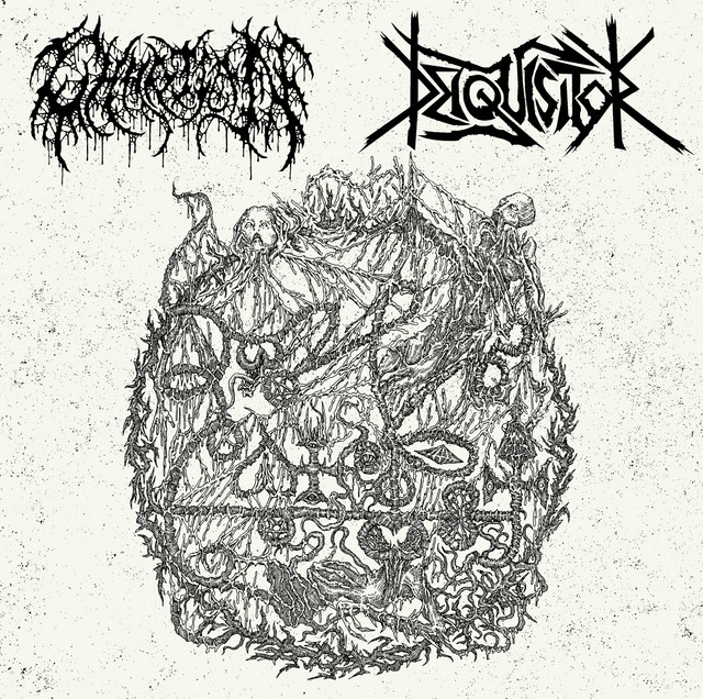 Deiquisitor