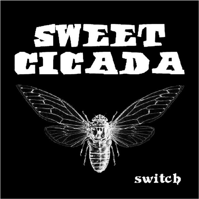 Sweet Cicada
