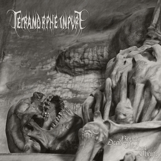 Tetramorphe Impure