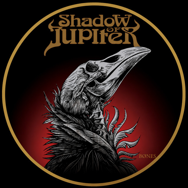 Shadow of Jupiter