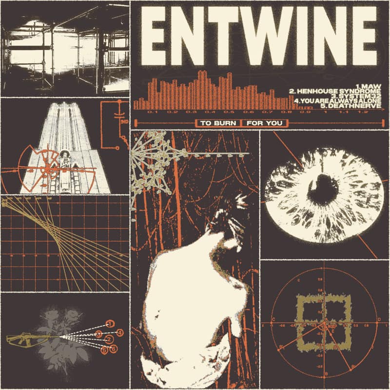 Entwine