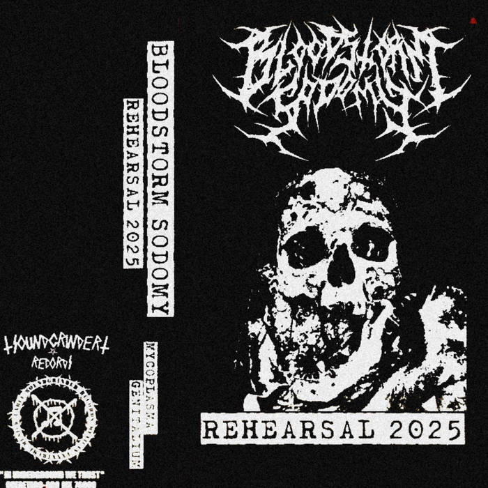 Rehearsal 2025(Mycoplasma Genitalium)