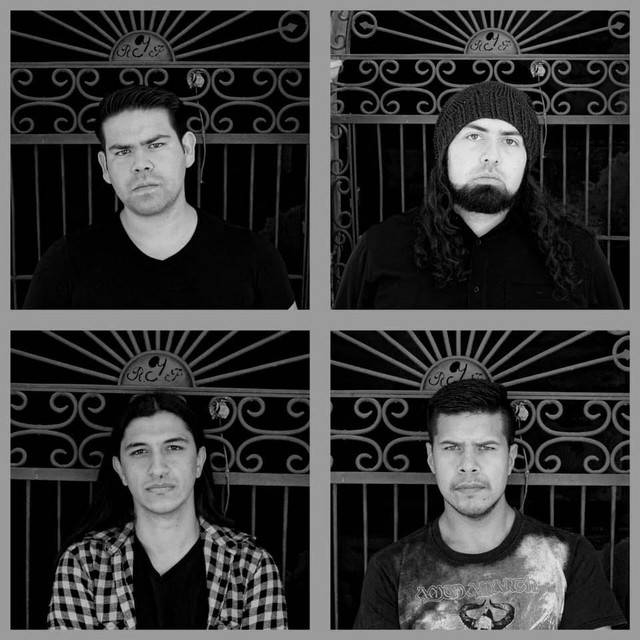 Toxocracia
