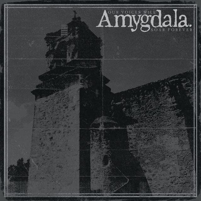 Amygdala