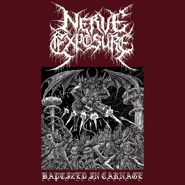 Nerve Exposure