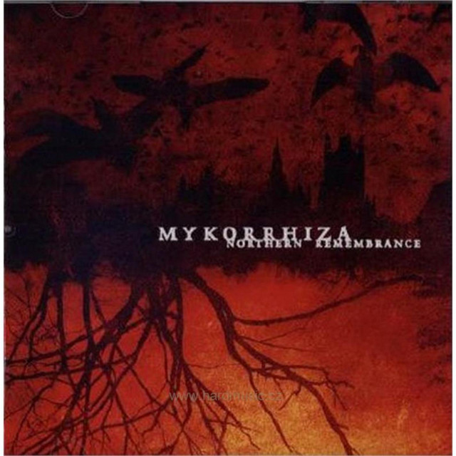 Mykorrhiza