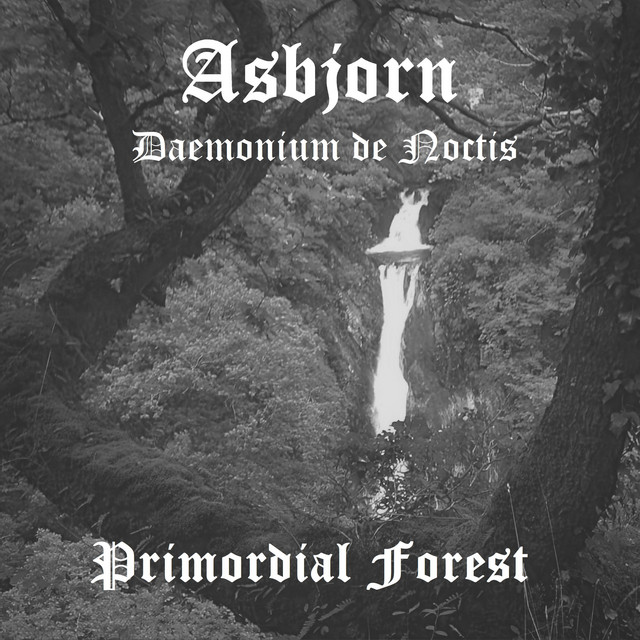 Asbjorn Daemonium de Noctis