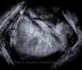 Devoted & Devastated in Scarlatta Draumar