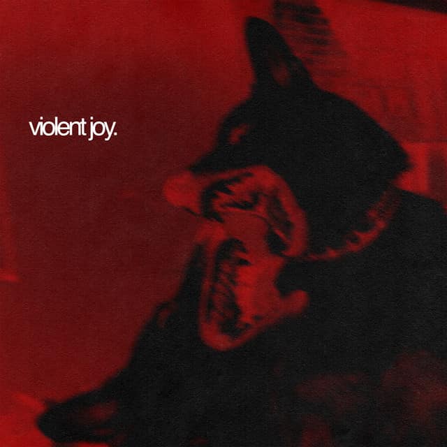 Violent Joy