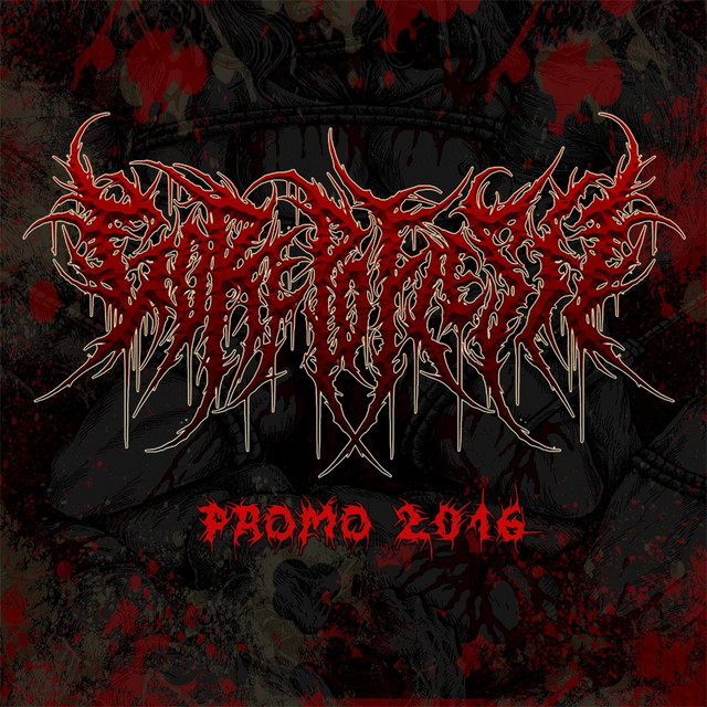 Promo 2016