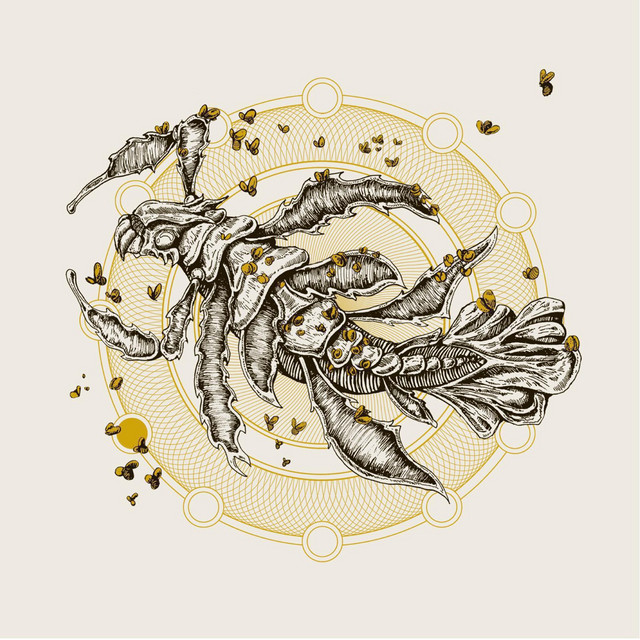 Mainline / Barren