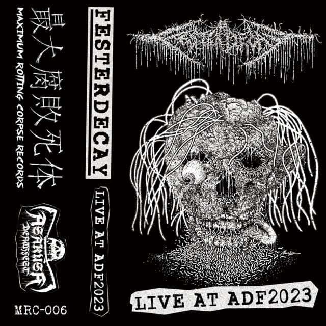 Live at ADF 2023