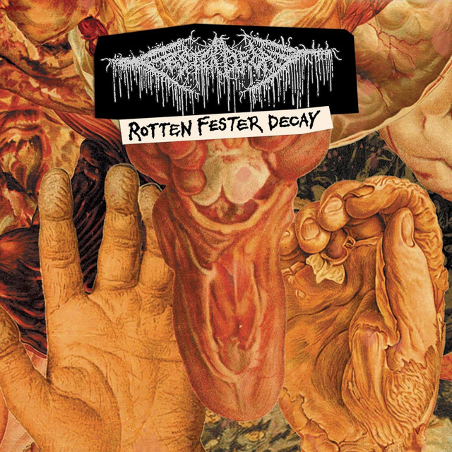 Rotten Fester Decay