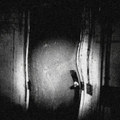 DIMREVENANT (2015)
