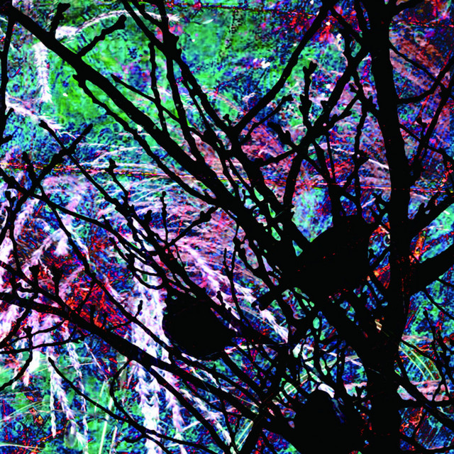 雀​色​2 Sparrow Color 2