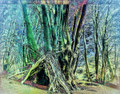 underwood_2