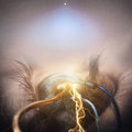 The Eye Of Providence