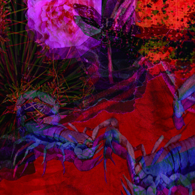 Untitled 1991, Vol. 2