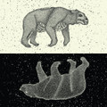 Altona//Homage Split