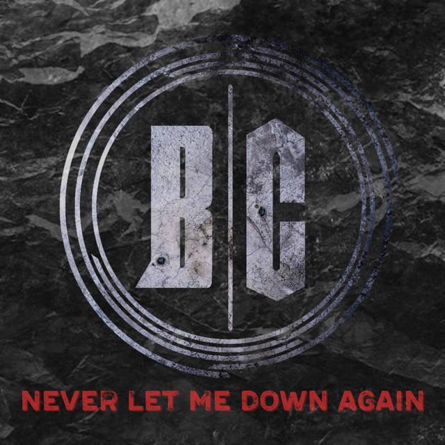 Never Let Me Down Again