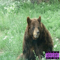 [Instrumentals]